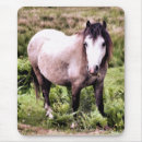 Recherche de poney mignon tapis souris Chevaux