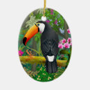 Recherche de toucan ornements Oiseaux tropicaux