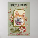 Zoek naar akita hond posters Hoektand