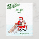Zoek naar honden flyers Kat