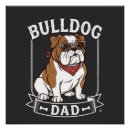 Recherche de bouledogue français posters Chiot