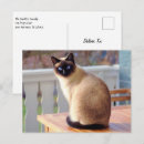 Recherche de beaux yeux cartes postales Amoureux des animaux
