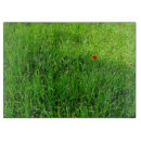 Recherche de chat planches à découper Unique