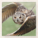 Recherche de duc dessous de verres Animal