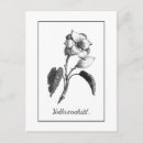 Recherche de fleurs 19ème cartes postales Illustration