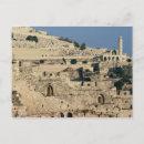 Recherche de oliviers cartes postales Israël