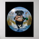 Zoek naar geel labrador posters Dieren