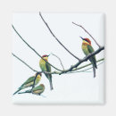 Recherche de oiseau exotique magnets Nature