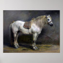 Zoek naar vrouw wit paard posters Dier