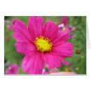 Recherche de perou cartes postales Fleur