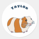 Recherche de cobaye autocollants Cavy