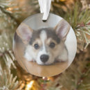 Recherche de pembroke welsh corgi ornements Canine