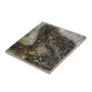 Recherche de rivera carreaux Mexico