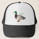 Recherche de le canard casquettes Oiseau