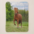 Zoek naar ijslandse dekens Paard