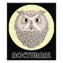 Zoek naar uil illustratie posters Vogel