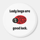 Zoek naar lieveheersbeestje magneten Ladybug