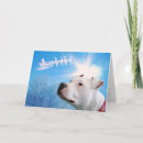 Zoek naar witte hond kaarten Santa