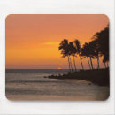 Recherche de coucher soleil tapis souris Nature