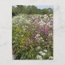Recherche de anglet cartes postales Britannique