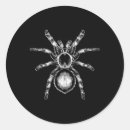 Zoek naar vampier kat stickers Film