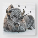 Recherche de buffalo horloges Buffle