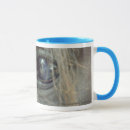 Recherche de chevaux tasses Ranch