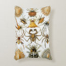 Recherche de arachnide coussins Insecte