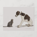Recherche de bas cartes postales Humour