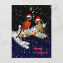 Recherche de oiseau dans la neige cartes postales Festif