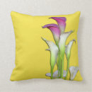 Recherche de zantedeschia jaune Calla