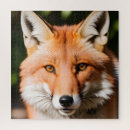 Recherche de renards puzzles Nature