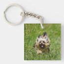 Recherche de terrier de yorkshire porteclés Yorkie