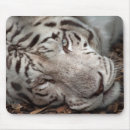 Recherche de yeux tigre tapis souris Blanc