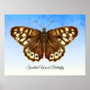 Recherche de peinture papillon posters Pour elle
