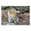 Recherche de piemonte posters Nature