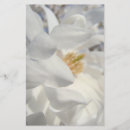 Zoek naar flowers briefpapier Magnolia