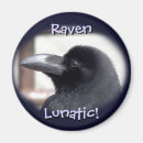Recherche de ravenne magnets Corneille