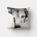 Recherche de berger blanc coussins Chiot