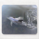 Recherche de dauphins tapis souris Plage