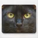 Recherche de féline tapis souris Noir