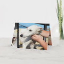 Recherche de whippet cartes postales Blanc