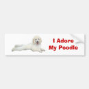Recherche de caniches voiture autocollants Caniche standard