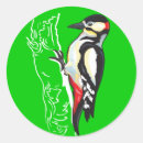 Recherche de grand oiseau autocollants Forêt