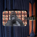 Recherche de espèces accessoires Faune
