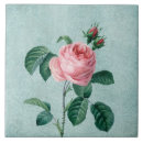 Recherche de romantique carreaux Botanique