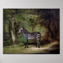 Recherche de zèbre art Forêt