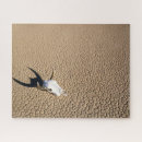 Recherche de skull puzzles Nature