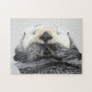 Recherche de loutres puzzles Loutre de mer
