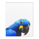 Recherche de perroquet art macaw